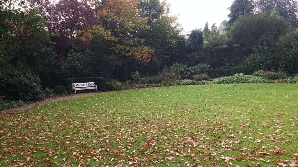 Foto: Serre van Rozendaal; achterzijde buiten