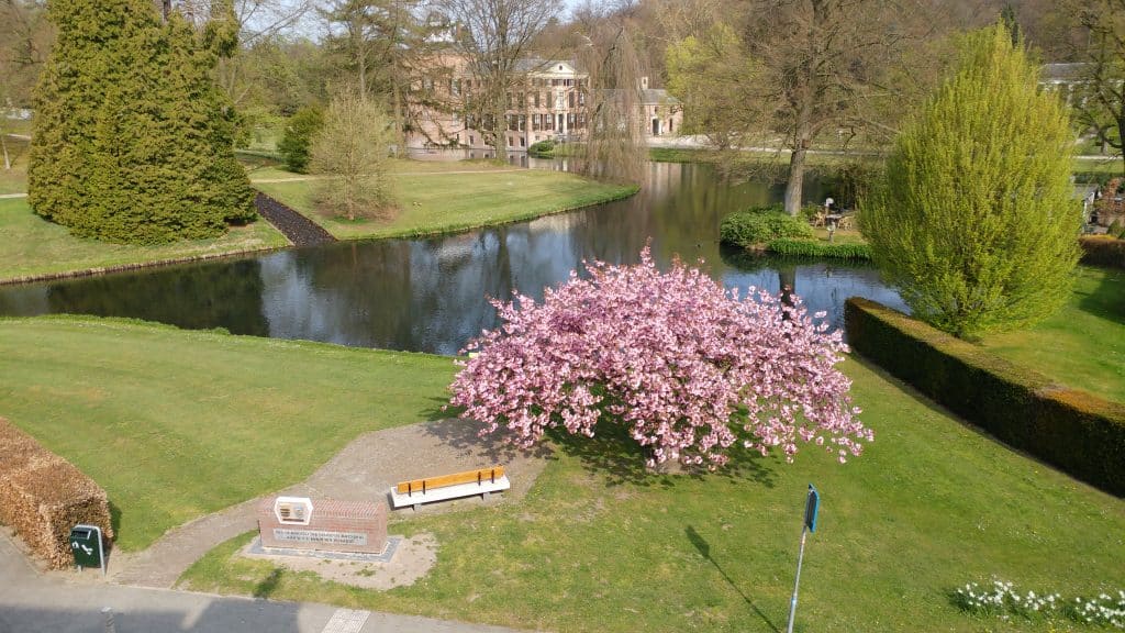 Foto: uitzicht voorzijde gemeentehuis Rozendaal